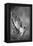 Study of Praying Hands by Albrecht Durer-Philip Gendreau-Framed Premier Image Canvas