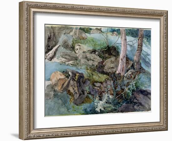 Study of Rocks and Ferns in a Wood at Crossmount, Perthshire, 1843-John Ruskin-Framed Giclee Print