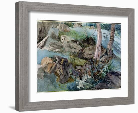 Study of Rocks and Ferns in a Wood at Crossmount, Perthshire, 1843-John Ruskin-Framed Giclee Print