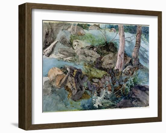 Study of Rocks and Ferns in a Wood at Crossmount, Perthshire, 1843-John Ruskin-Framed Giclee Print