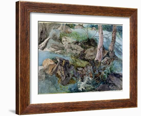 Study of Rocks and Ferns in a Wood at Crossmount, Perthshire, 1843-John Ruskin-Framed Giclee Print