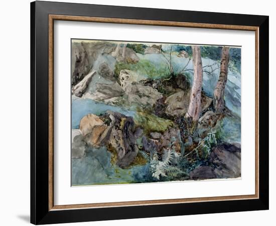 Study of Rocks and Ferns in a Wood at Crossmount, Perthshire, 1843-John Ruskin-Framed Giclee Print