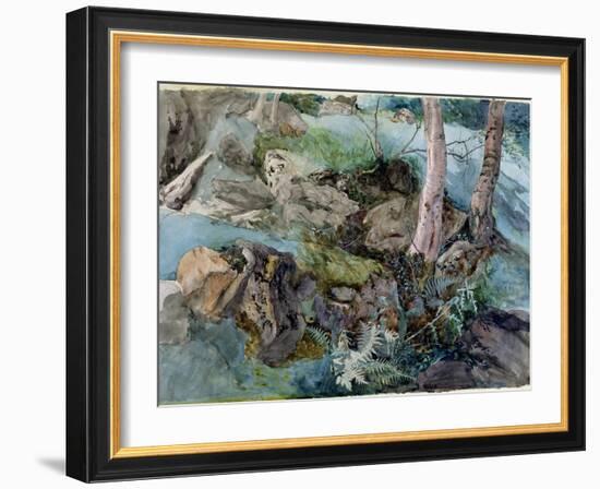 Study of Rocks and Ferns in a Wood at Crossmount, Perthshire, 1843-John Ruskin-Framed Giclee Print