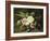 Study of Roses-Gerardina Jacoba Backhuysen-Framed Giclee Print