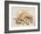 Study of Sea Shells, 1876-Joseph Smith-Framed Giclee Print