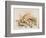 Study of Sea Shells, 1876-Joseph Smith-Framed Giclee Print