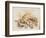 Study of Sea Shells, 1876-Joseph Smith-Framed Giclee Print