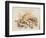 Study of Sea Shells, 1876-Joseph Smith-Framed Giclee Print