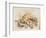 Study of Sea Shells, 1876-Joseph Smith-Framed Giclee Print