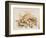 Study of Sea Shells, 1876-Joseph Smith-Framed Giclee Print