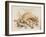 Study of Sea Shells, 1876-Joseph Smith-Framed Giclee Print