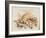 Study of Sea Shells, 1876-Joseph Smith-Framed Giclee Print