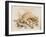 Study of Sea Shells, 1876-Joseph Smith-Framed Giclee Print