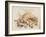 Study of Sea Shells, 1876-Joseph Smith-Framed Giclee Print