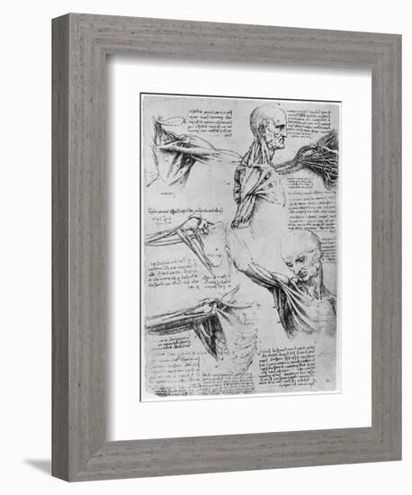 Study of Shoulder Joints, 1510-1511-Leonardo da Vinci-Framed Giclee Print