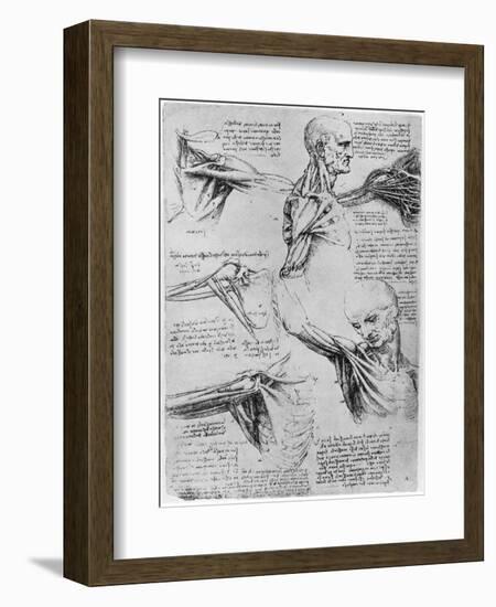 Study of Shoulder Joints, 1510-1511-Leonardo da Vinci-Framed Giclee Print