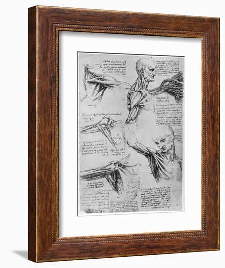 Study of Shoulder Joints, 1510-1511-Leonardo da Vinci-Framed Giclee Print