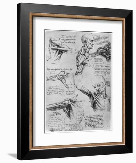 Study of Shoulder Joints, 1510-1511-Leonardo da Vinci-Framed Giclee Print