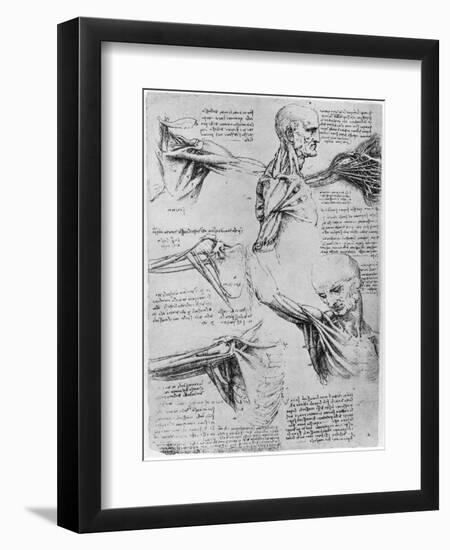 Study of Shoulder Joints, 1510-1511-Leonardo da Vinci-Framed Giclee Print