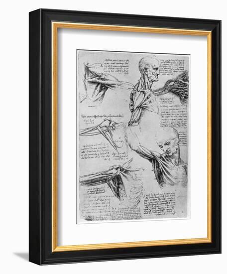 Study of Shoulder Joints, 1510-1511-Leonardo da Vinci-Framed Giclee Print