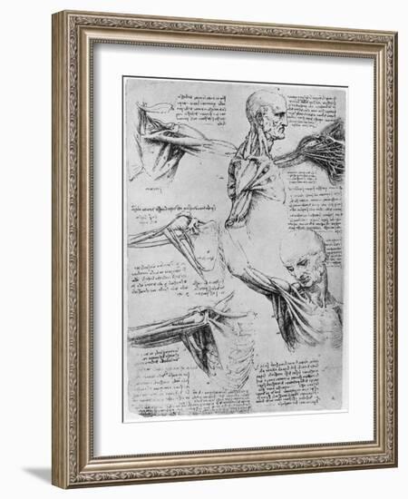 Study of Shoulder Joints, 1510-1511-Leonardo da Vinci-Framed Giclee Print