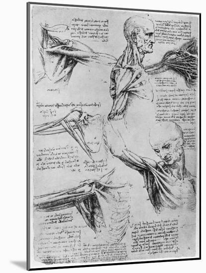 Study of Shoulder Joints, 1510-1511-Leonardo da Vinci-Mounted Giclee Print