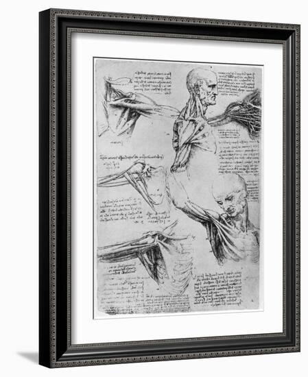 Study of Shoulder Joints, 1510-1511-Leonardo da Vinci-Framed Giclee Print