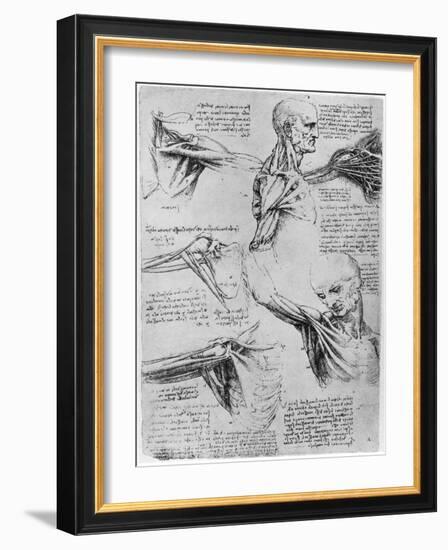 Study of Shoulder Joints, 1510-1511-Leonardo da Vinci-Framed Giclee Print