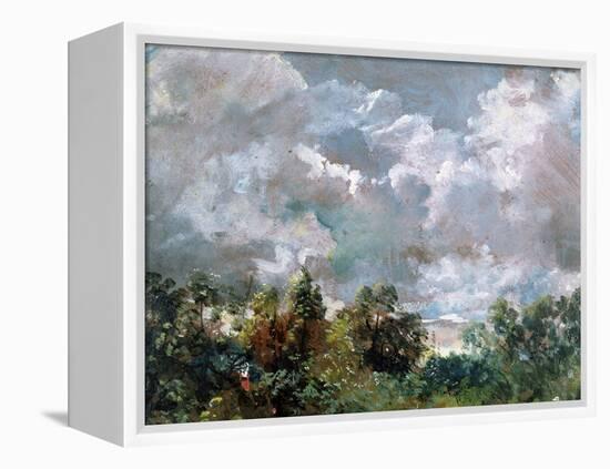 Study of Sky and Trees-John Constable-Framed Premier Image Canvas