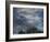 Study of Sky and Trees-John Constable-Framed Giclee Print