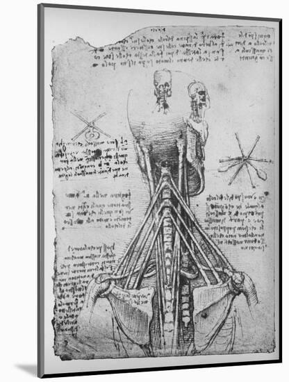 'Study of the Back View of a Skeleton, Showing the Tendons of the Neck', c1480 (1945)-Leonardo Da Vinci-Mounted Giclee Print