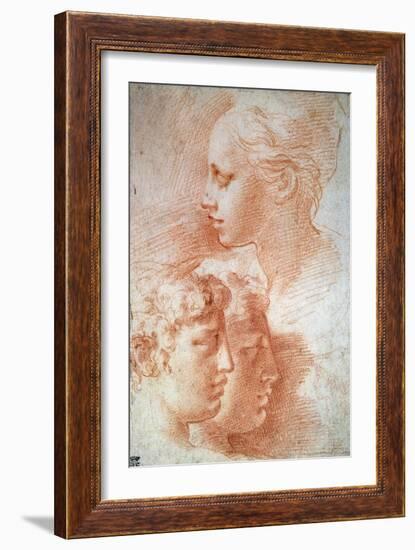 Study of the Heads, C1527-Parmigianino-Framed Giclee Print