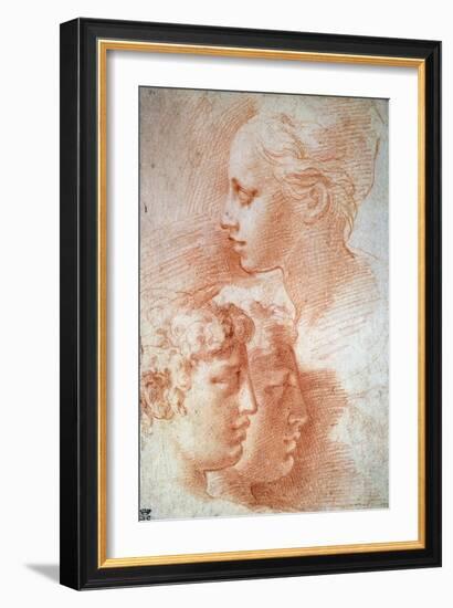 Study of the Heads, C1527-Parmigianino-Framed Giclee Print