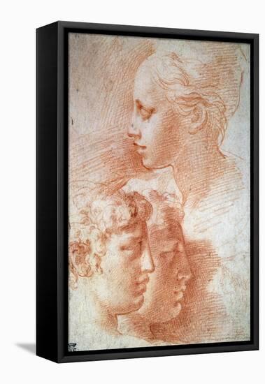 Study of the Heads, C1527-Parmigianino-Framed Premier Image Canvas