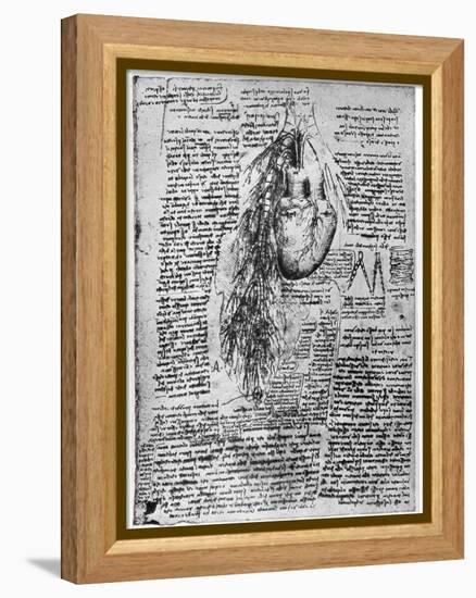 Study of the Heart and the Bronchial Arteries, Late 15th or Early 16th Century-Leonardo da Vinci-Framed Premier Image Canvas