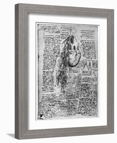 Study of the Heart and the Bronchial Arteries, Late 15th or Early 16th Century-Leonardo da Vinci-Framed Giclee Print