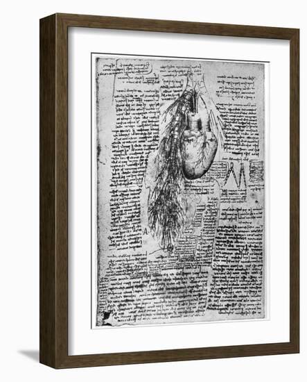 Study of the Heart and the Bronchial Arteries, Late 15th or Early 16th Century-Leonardo da Vinci-Framed Giclee Print