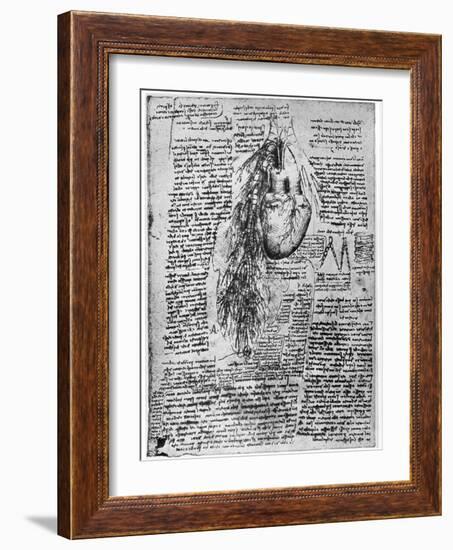Study of the Heart and the Bronchial Arteries, Late 15th or Early 16th Century-Leonardo da Vinci-Framed Giclee Print