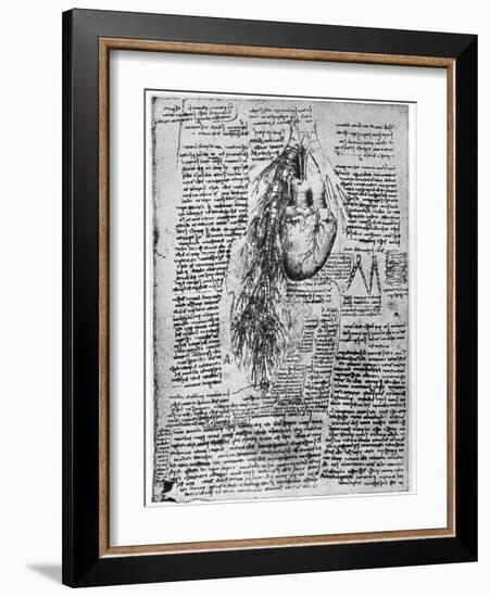 Study of the Heart and the Bronchial Arteries, Late 15th or Early 16th Century-Leonardo da Vinci-Framed Giclee Print