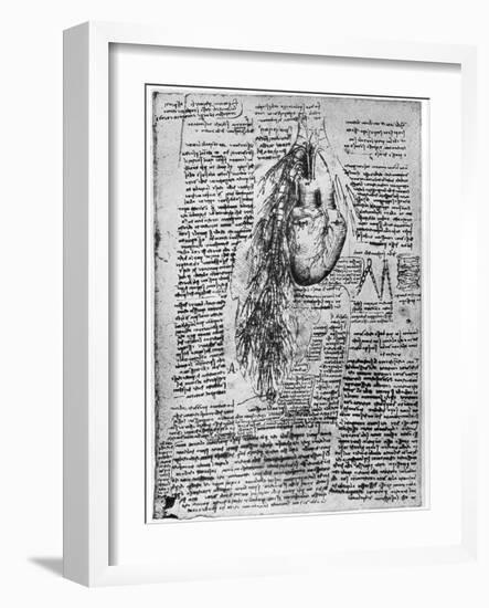 Study of the Heart and the Bronchial Arteries, Late 15th or Early 16th Century-Leonardo da Vinci-Framed Giclee Print