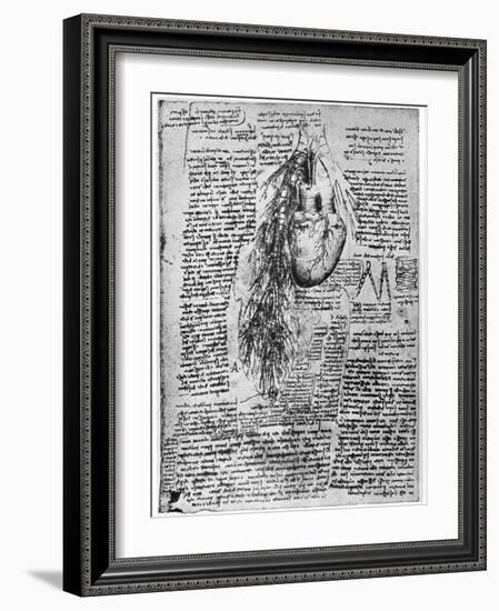 Study of the Heart and the Bronchial Arteries, Late 15th or Early 16th Century-Leonardo da Vinci-Framed Giclee Print