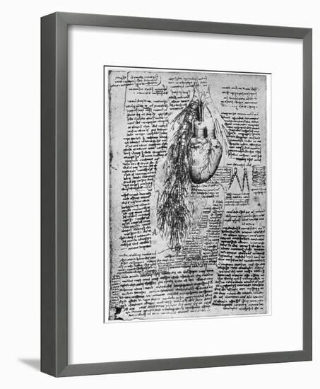 Study of the Heart and the Bronchial Arteries, Late 15th or Early 16th Century-Leonardo da Vinci-Framed Premium Giclee Print