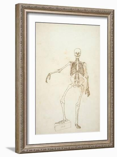 Study of the Human Figure, Anterior View-George Stubbs-Framed Giclee Print