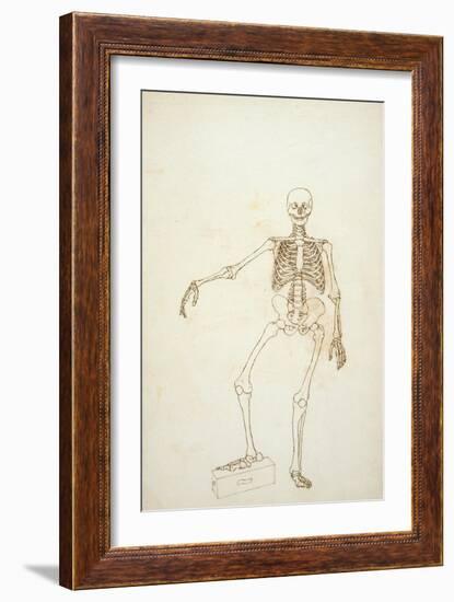 Study of the Human Figure, Anterior View-George Stubbs-Framed Giclee Print