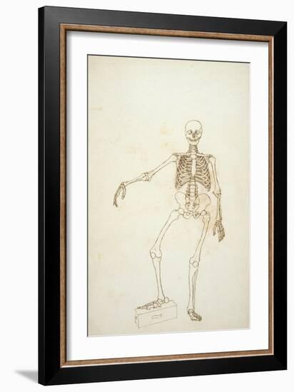 Study of the Human Figure, Anterior View-George Stubbs-Framed Giclee Print