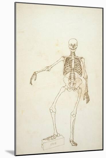 Study of the Human Figure, Anterior View-George Stubbs-Mounted Giclee Print