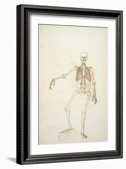 Study of the Human Figure, Anterior View-George Stubbs-Framed Giclee Print