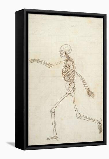 Study of the Human Figure, Lateral View-George Stubbs-Framed Premier Image Canvas