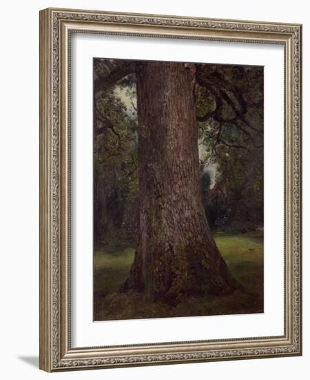 Study of the Trunk of an Elm Tree, circa 1821-John Constable-Framed Giclee Print