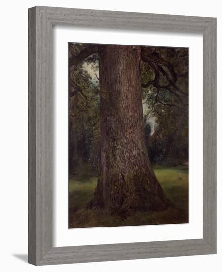 Study of the Trunk of an Elm Tree, circa 1821-John Constable-Framed Giclee Print